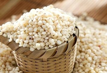 固原市原州區浩宇種植農民專業合作社 多元化高粱種植，守護谷物生產多樣性